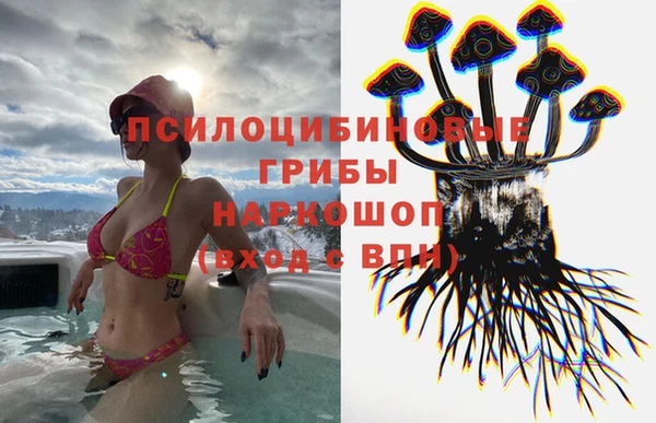 мдпв Волосово