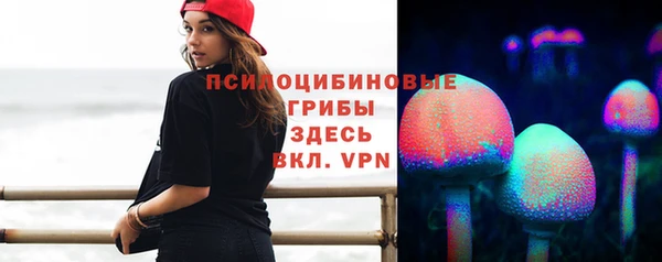 прущая мука Медногорск