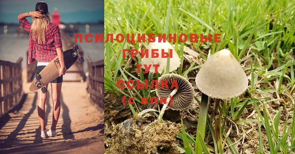 мяу мяу мука Мегион