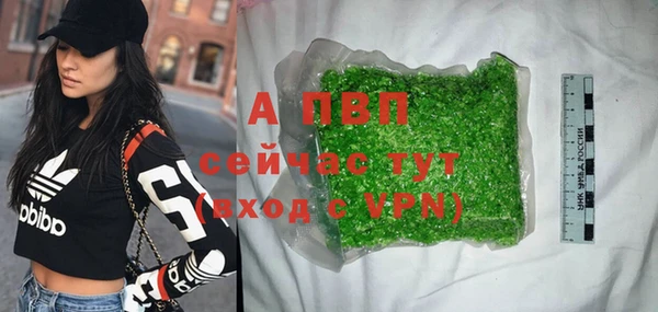 прущие грибы Волоколамск