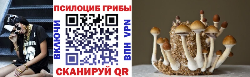 Галлюциногенные грибы Magic Shrooms  Зарайск 